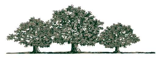 Woodlands tree